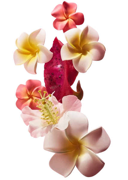 Beija Flor Elasti - Body Oil 100ml