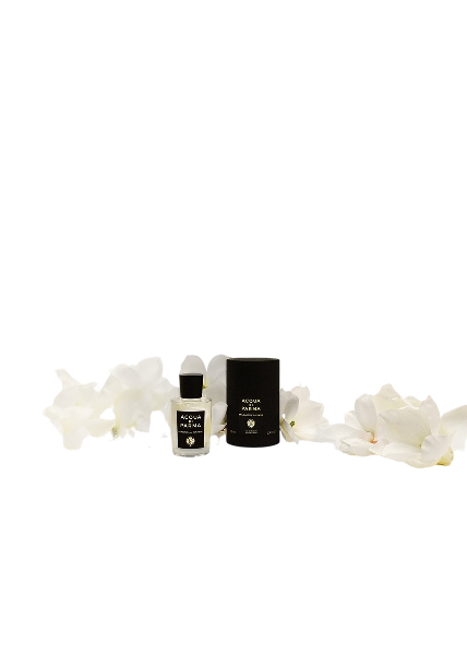 Signatures Of The Sun Magnolia Infinita Eau De Parfum