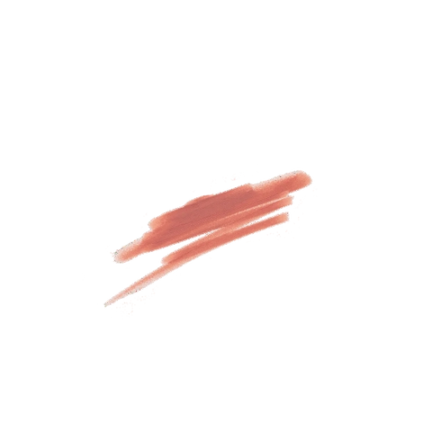 Lip Definer Waterproof Lip Liner Precision Lip Pencil