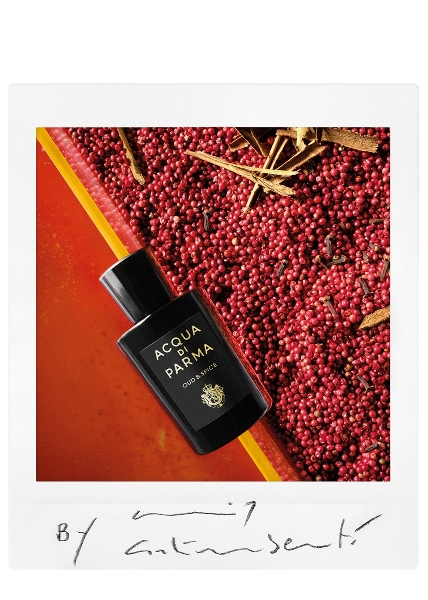 Oud & Spice Eau de Parfum