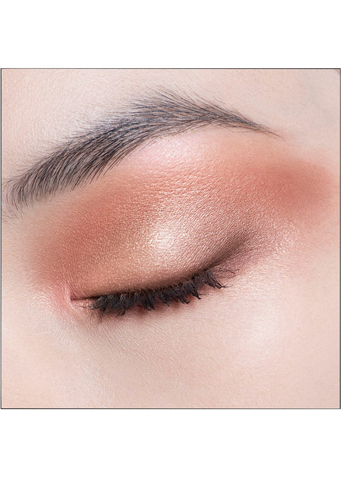 Dior Diorshow 5 Couleurs Couture Eyeshadow Palette