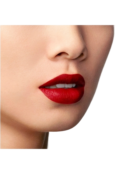 Lip Maestro Liquid Lipstick