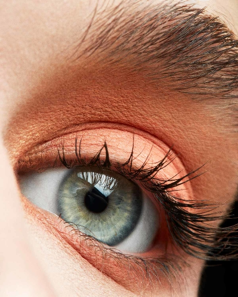 Snap Shadows Mix & Match Eyeshadow Palette