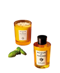Buongiorno Eau de Parfum 100ml - Acqua di Parma - בשמים יוניסקס - 5