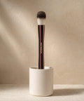 Ambient Lighting Edit Brush - editorial