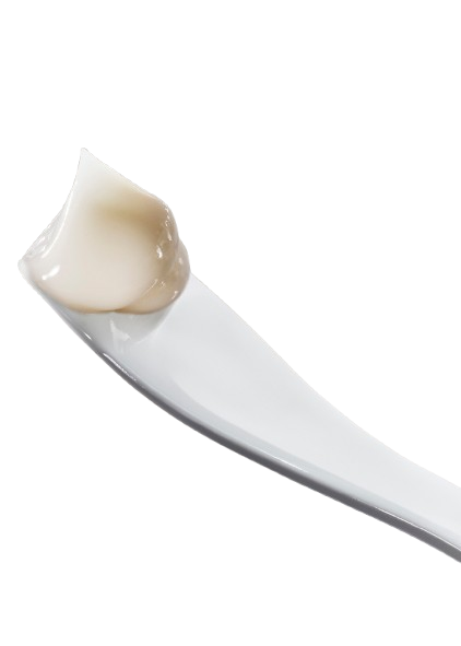 The Moisturizing Fresh Cream