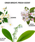COLOR WOW Insta-WOW Advanced Dry Shampoo 200ml