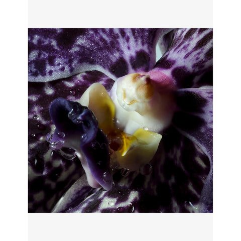 BYREDO Black Saffron Body Cream 200ml