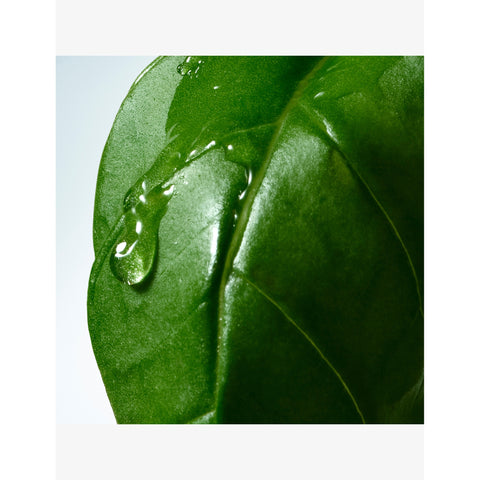 BYREDO Suede hand cream 100ml