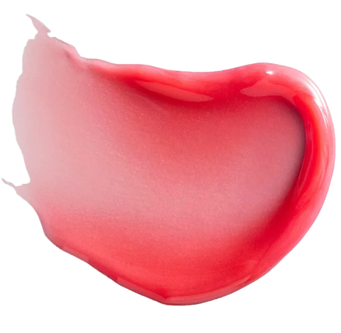 Nourishing Lip Shine - Victoria Beckham - שפתון - 15