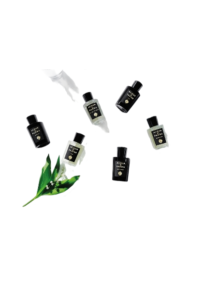 Signatures Of The Sun Quercia Eau De Parfum 180ml