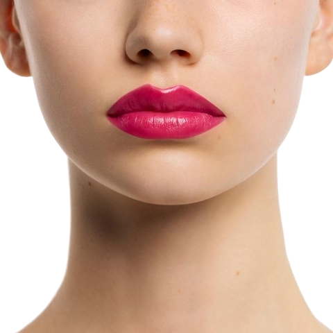 Le Rouge Celine Satin Lipstick