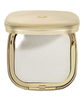 Skin Perfector Shine Control Blurring Powder