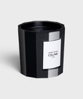Papiers Froissés Perfumed Candle 240g