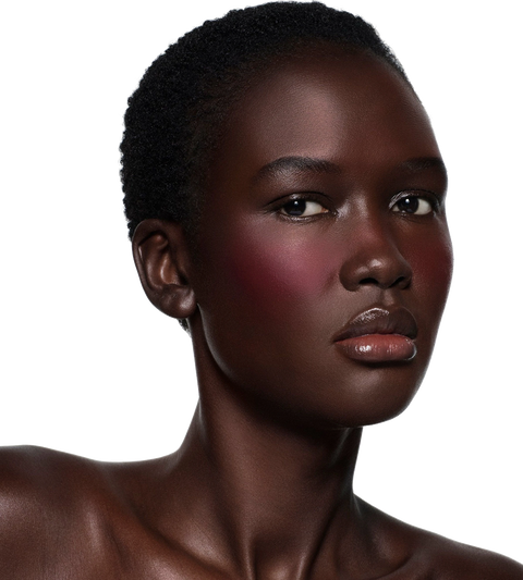 Victoria Beckham Beauty Blush Stylus