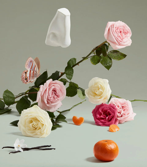 Penhaligon'S The Coveted Duchess Rose Eau De Parfum 75ml