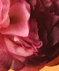 Gucci The Alchemist’s Garden Rosa Sublime Eau de Parfum (100ml)