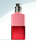 DRIES VAN NOTEN Raving Rose Eau de Parfum (100ml)