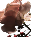 DRIES VAN NOTEN Raving Rose Eau de Parfum (100ml)