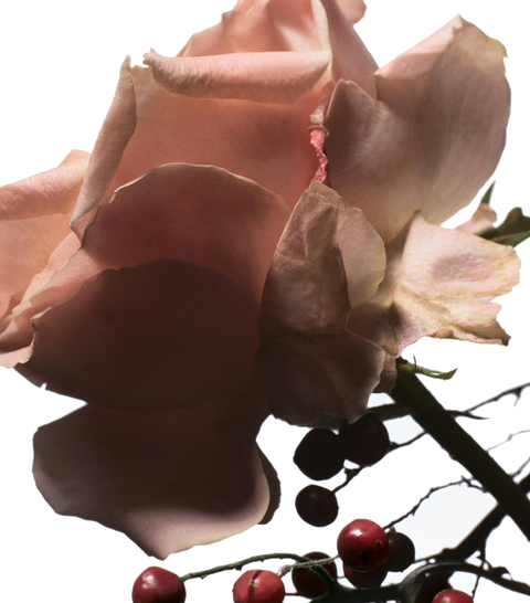 DRIES VAN NOTEN Raving Rose Eau de Parfum (100ml)