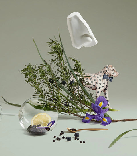 Penhaligon'S Juniper Sling Eau De Toilette 100ml
